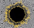 Example category image description